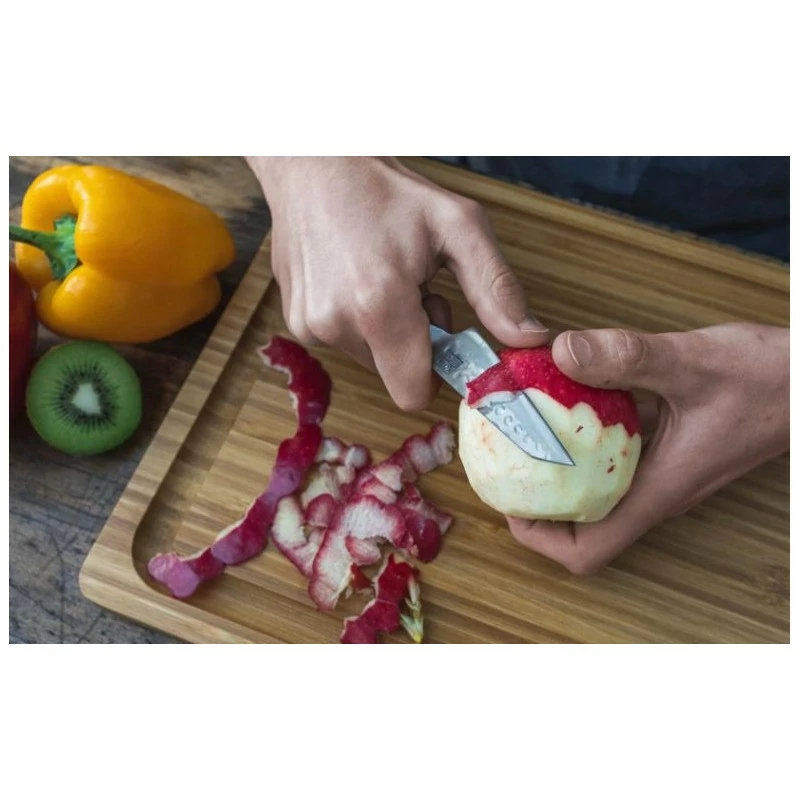 Couteau D'Office Japonais KOTAI Bunka - 9cm 6 Couteau D'Office Japonais KOTAI Bunka - 9cm â Image 4